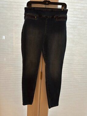 INC Denim Jeggins-Size 10